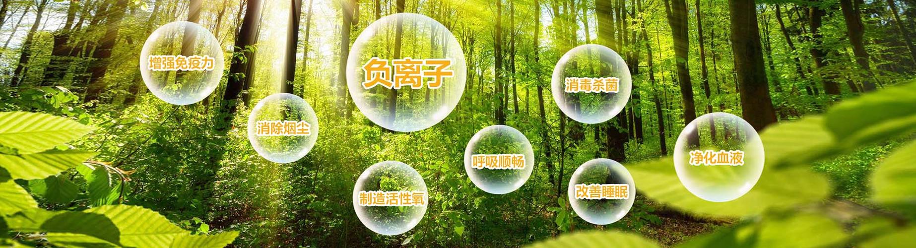 c2d82c411a9ee0ed5845d4759e5dbad8 (1).jpg