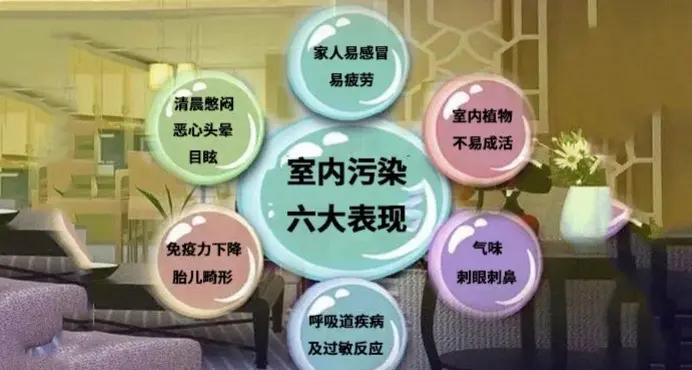 208ba8315186fd9e209ddc681a45080a.jpg 208ba8315186fd9e209ddc681a45080a.jpg