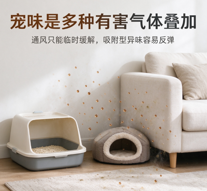 微信图片_20260928173213_338_9.png